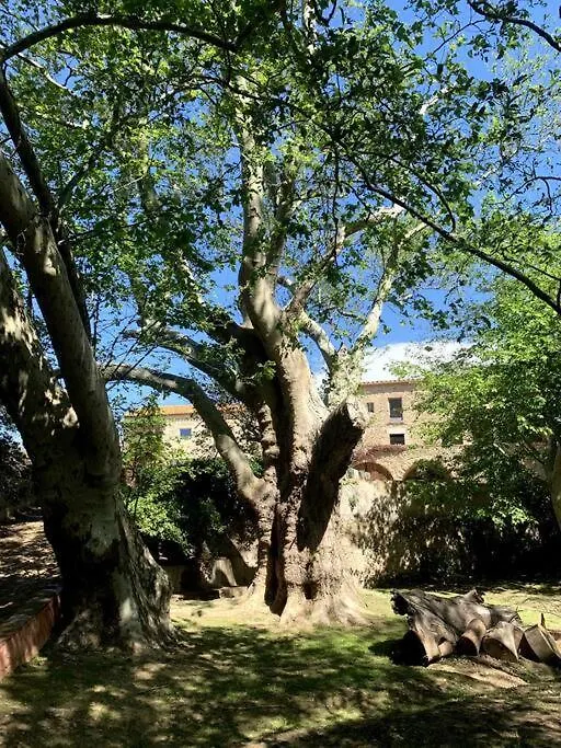 Suite Romantica En El Campo, Cantallops, Girona 公寓