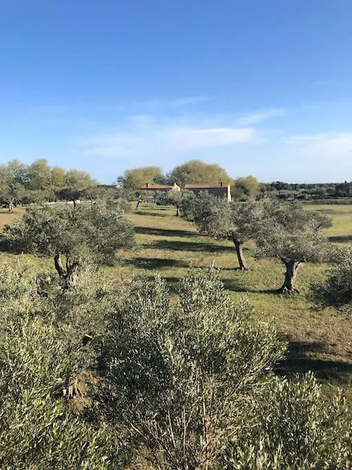Suite Romantica En El Campo, Cantallops, Girona